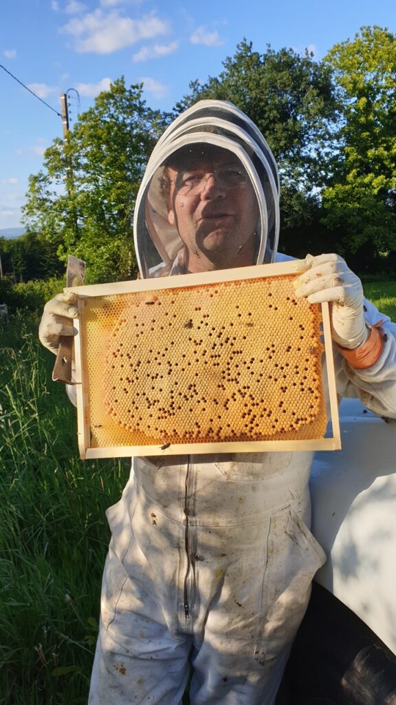 jean luc producteur de miel breton